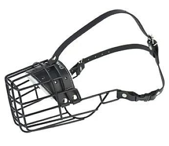 Champion Kaganiec metalowy fizjologiczny FIZ-3 (31/12)