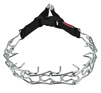 Champion Kolczatka [2T]