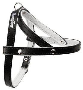 Champion Szelki 50 czarne [SD]