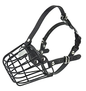 Champion Kaganiec metalowy fizjologiczny FIZ-1 (24/9)