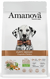 Amanova Dog Puppy Medium Exquisite Chicken - kurczak 2kg