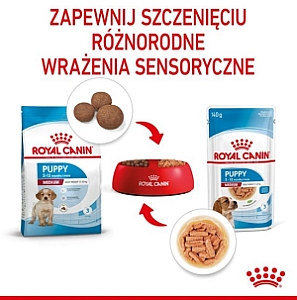 Royal Canin Medium Puppy karma mokra w sosie dla szczeniąt, od 2 do 12 miesiąca, ras średnich 140g