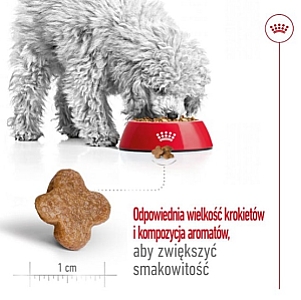 Royal Canin Mini Adult 8+ karma sucha dla psów starszych od 8 do 12 roku życia, ras małych 800g