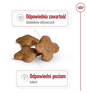 Royal Canin Mini Adult 8+ karma sucha dla psów starszych od 8 do 12 roku życia, ras małych 2kg