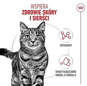 Royal Canin Hair&Skin Care karma sucha dla kotów dorosłych, lśniąca sierść i zdrowa skóra 400g