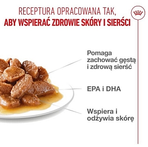 Royal Canin Hair & Skin Care w sosie  karma mokra dla kotów dorosłych, zdrowa skóra, piękna sierść saszetka 85g