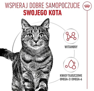 Royal Canin Hair & Skin Care w sosie  karma mokra dla kotów dorosłych, zdrowa skóra, piękna sierść saszetka 85g