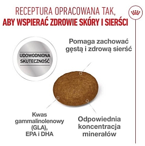 Royal Canin Hair&Skin Care karma sucha dla kotów dorosłych, lśniąca sierść i zdrowa skóra 4kg