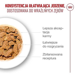 Royal Canin Ageing +11 karma mokra dla kotów dojrzałych w galaretce saszetka 85g