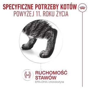 Royal Canin Ageing +11 karma mokra dla kotów dojrzałych w sosie saszetka 85g
