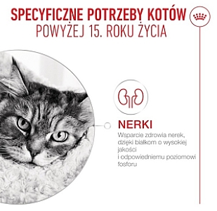 Royal Canin Ageing +15 karma mokra dla kotów dojrzałych w sosie saszetka 85g