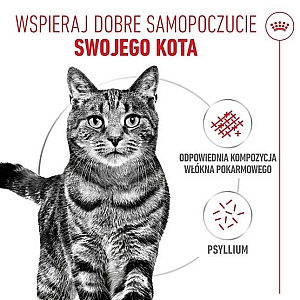 Royal Canin Hairball Care w sosie karma mokra w sosie dla kotów dorosłych, eliminacja kul włosowych saszetka 85g