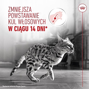 Royal Canin Hairball Care w sosie karma mokra w sosie dla kotów dorosłych, eliminacja kul włosowych saszetka 85g