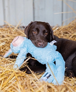Zolux Zabawka pluszowa Furry Farm Osioł Hassan 60cm