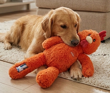 Zolux Zabawka pluszowa Furry Farm Kogut Brock 60cm