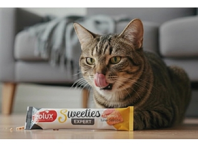 Zolux Sweeties Kremowy przysmak dla kota - tuńczyk i łosoś 14g