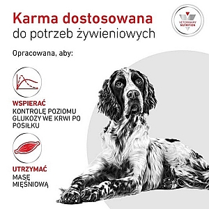 Royal Canin Veterinary Diet Canine Glycobalance Low Carbohydrate Loaf puszka 410g