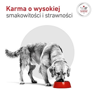 Royal Canin Veterinary Diet Canine Glycobalance Low Carbohydrate Loaf puszka 410g