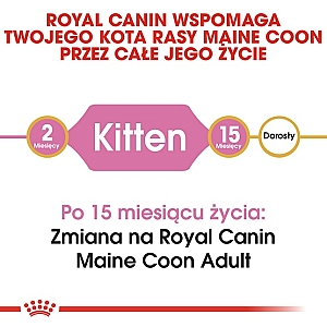 Royal Canin Maine Coon Kitten karma sucha dla kociąt, do 15 miesiąca, rasy maine coon 4kg