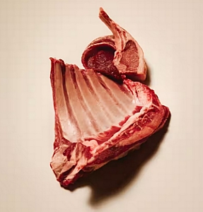 Carnilove Dog Active Lamb & Wild Boar Adult - jagnięcina i dzik 1,5kg