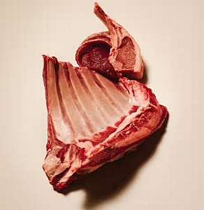 Carnilove Dog Lamb & Wild Boar Adult - jagnię i dzik puszka 400g