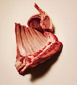 Carnilove Cat Active Lamb & Wild Boar Sterilised - jagnięcina i dzik 400g