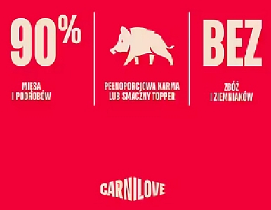 Carnilove Cat Wild Boar - dzik w sosie saszetka 85g