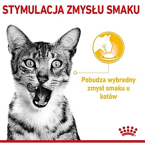 Royal Canin Sensory Taste w sosie karma mokra dla kotów dorosłych saszetka 85g