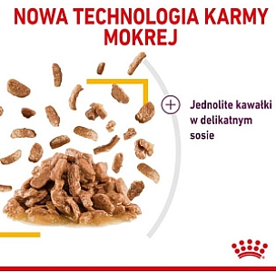 Royal Canin Sensory Taste w sosie karma mokra dla kotów dorosłych saszetka 85g