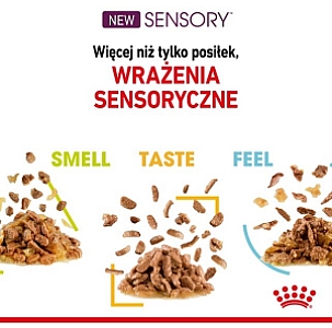 Royal Canin Sensory Taste w sosie karma mokra dla kotów dorosłych saszetka 85g