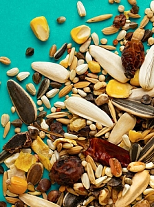 Rio Pokarm dla dużych papug 1kg