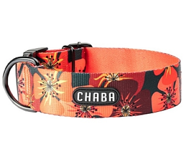CHABA Obroża regulowana Bull Story IV M/L Opium