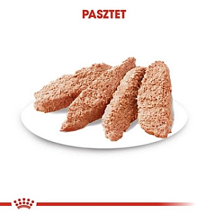 Royal Canin Dermacomfort Loaf  karma mokra – pasztet, dla psów dorosłych wszystkich ras saszetka 85g