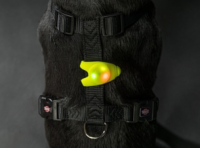 Trixie Flasher Zawieszka świecąca 11cm [13448]